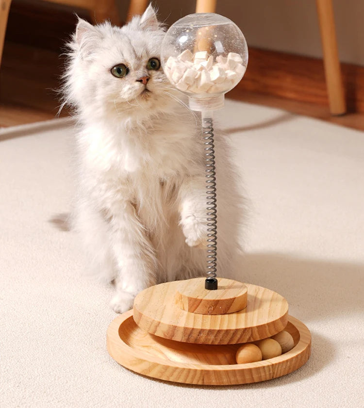 Interactive Pet Toy | Cat Turntable Toys | Kitten Playing Slow Feeders