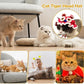 Funny Pet Costume | Cat Chinese Tiger Head Cap | Kitten Traditional Hat