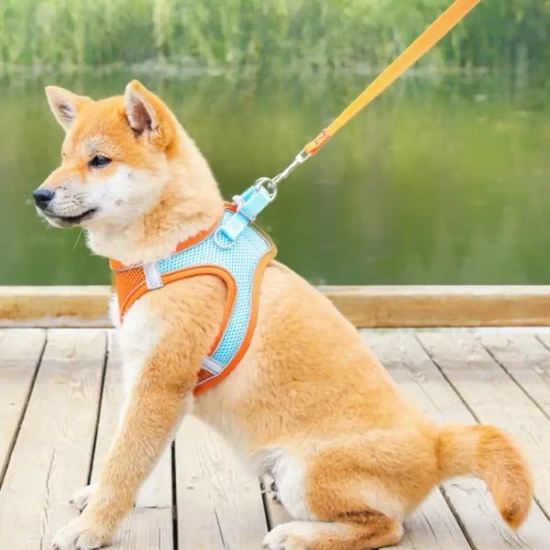 Pet Dog Harness | Outdoor Reflective Breathable Dog Traction Rope | Walking Harness