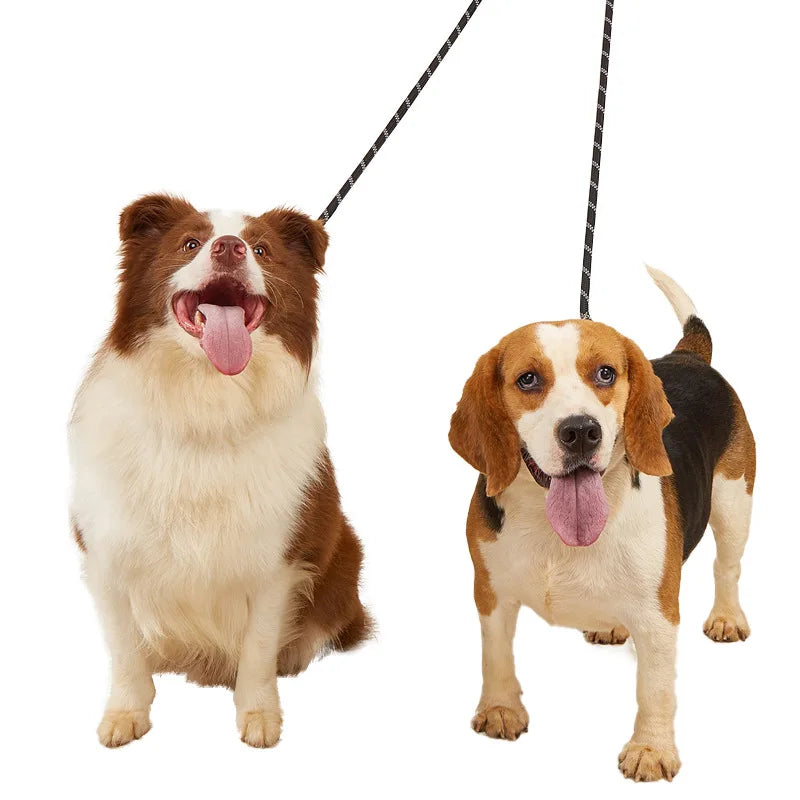 Nylon Pet Dog Leashes | Hands-Free Dog Leash Rope | Reflective Dog Chain