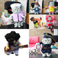 Halloween Pet Clothes | Cat Guitar Rock Costume | Kitten Novelty Clothing