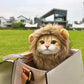 Cat Cosplay Dress Up | Pet Hat Lion Mane | Kitten Wig Costume