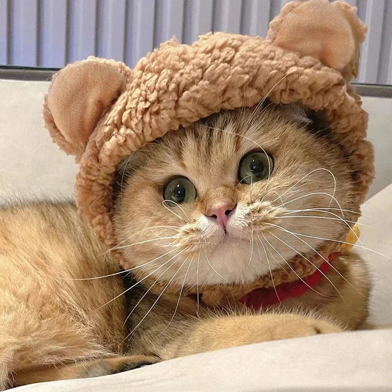 Cute Bear Ears for Pets | Funny Cat Hat | Kitten Pandy Headwear Cosplay