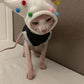 Hairless Cat Pet Costume | Pet Clown Plush Ball Hat | Kitten Winter Headwear