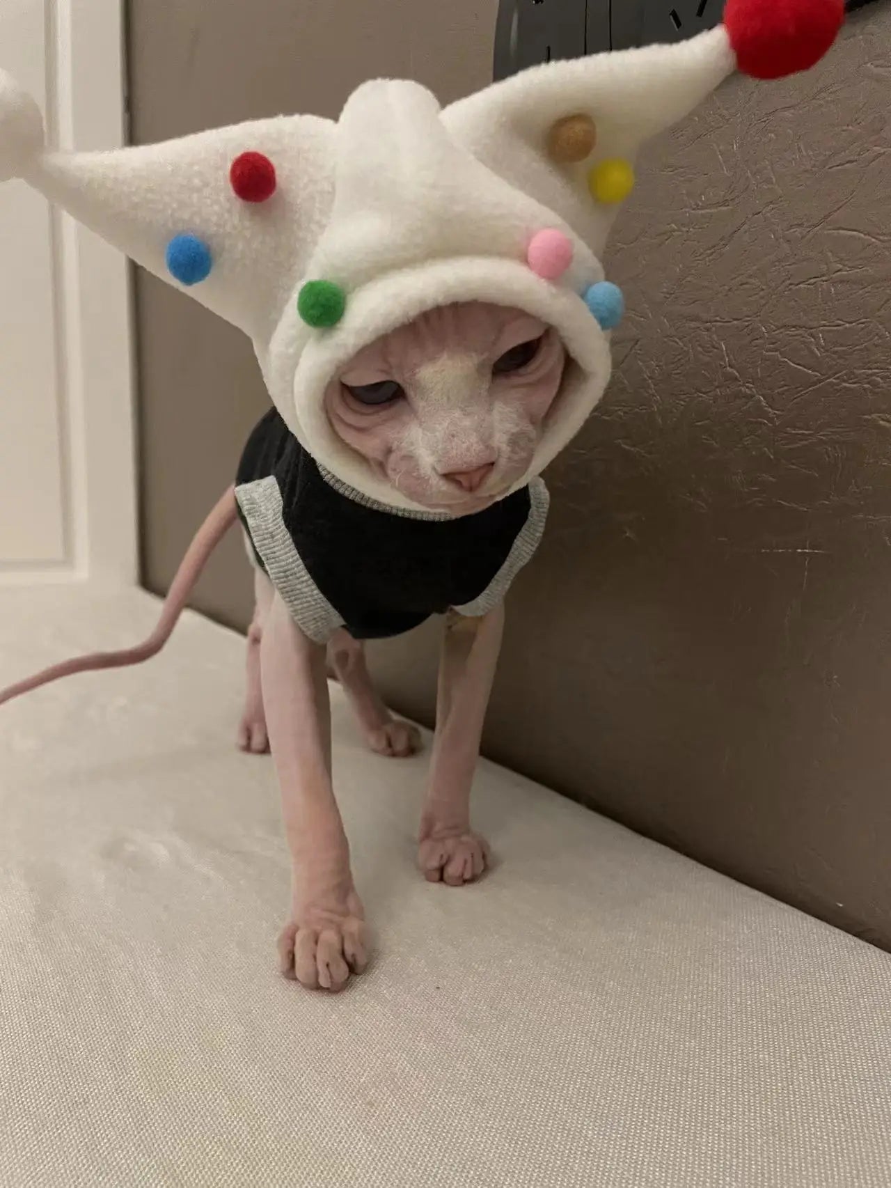 Hairless Cat Pet Costume | Pet Clown Plush Ball Hat | Kitten Winter Headwear