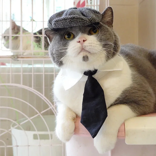 Funny Pet Hat | Cat's Flat Cap and Tie | Kitten Beret Cosplay