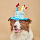 Pet Dog Hat for Birthday Party | Adjustable Dog Headwear | Puppy Dress Up Cap