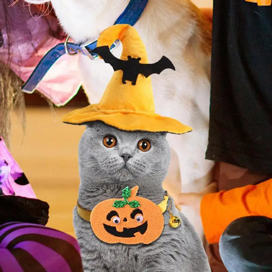 Cat Pumpkin Collar | Pet Halloween Costume Witch Hat | Kitten Wizard Hat