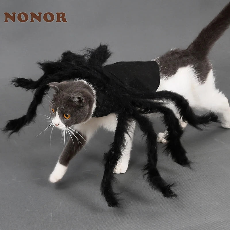 Halloween Cat Clothes | Pet Cosplay Spider Costume | Kitten Extra Legs Outfit