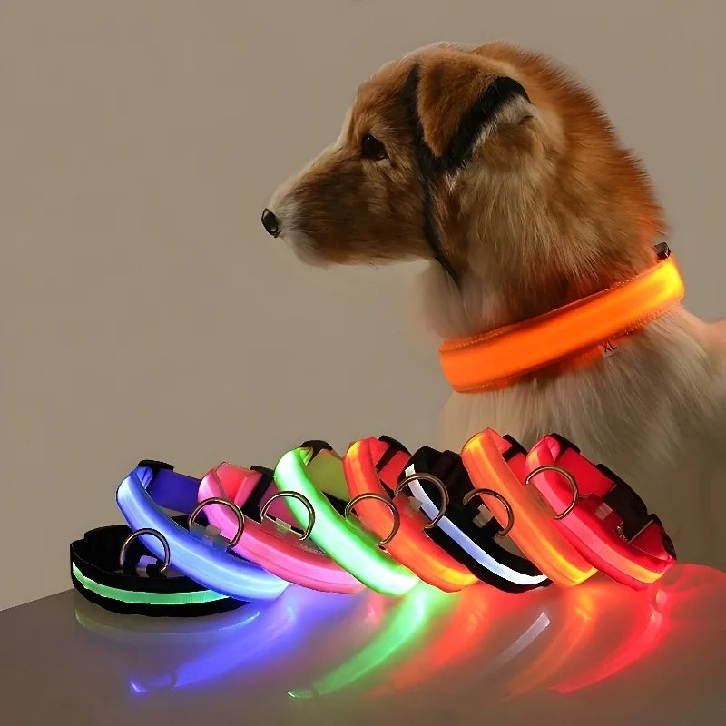 Dog Collar Nylon LED Light | Night Safety Flashing Glow In The Dark Pet Leash