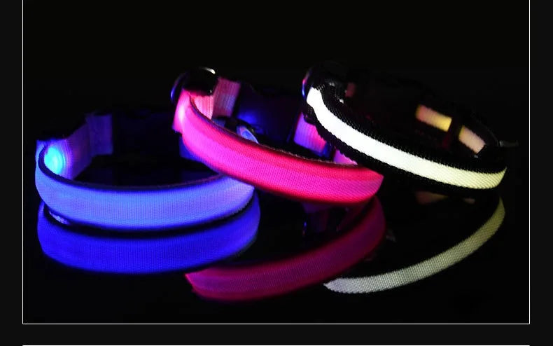 Dog Collar Nylon LED Light | Night Safety Flashing Glow In The Dark Pet Leash