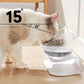 Non-Slip Double Cat Bowl | Dog Bowl With Stand | Pet Feeding Water Bowl