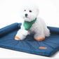 Summer Dog Bed | Sofa for Small Medium Large Dogs | Detachable Wash Puppy Bed