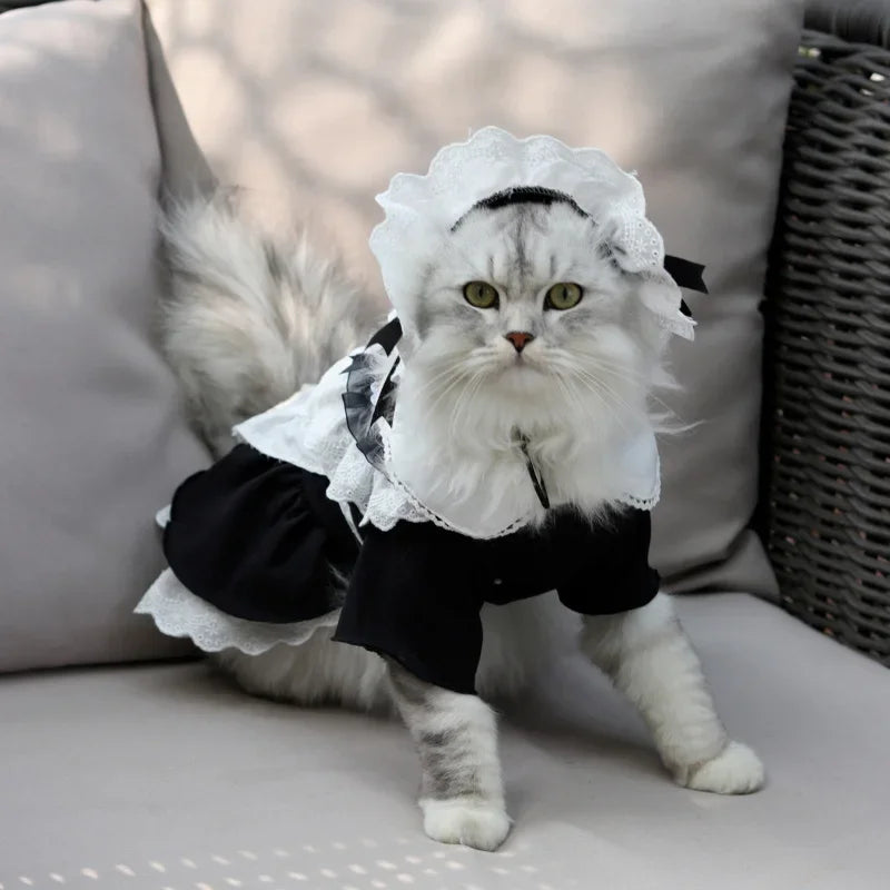 Pet Maid Outfit for Cat | Pet Princess Dresses | Adorable Kitten Costume with Headwear