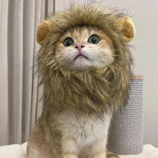 Cat Cosplay Dress Up | Pet Hat Lion Mane | Kitten Wig Costume