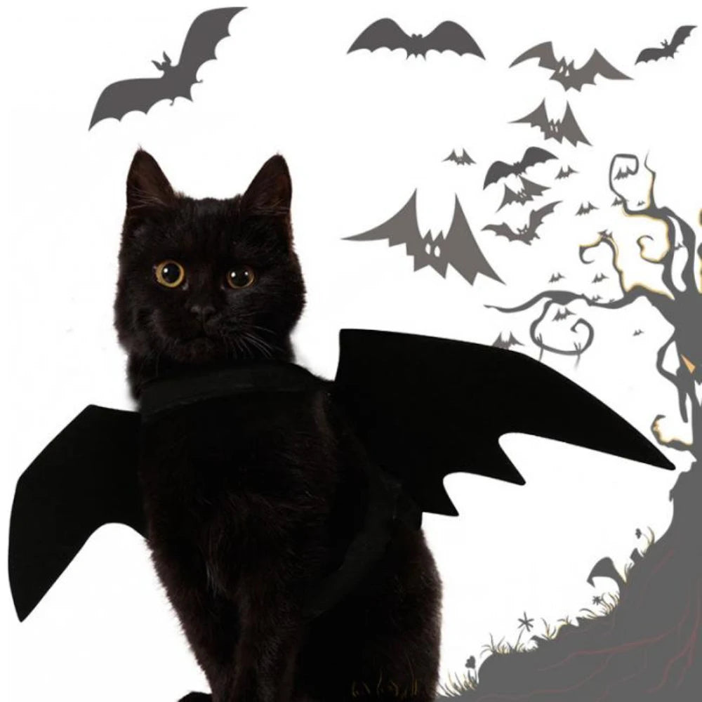 Cat Bat Wing Cosplay Prop | Kitten Halloween Costume | Pet Wings Outfit