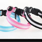 Dog Collar Nylon LED Light | Night Safety Flashing Glow In The Dark Pet Leash