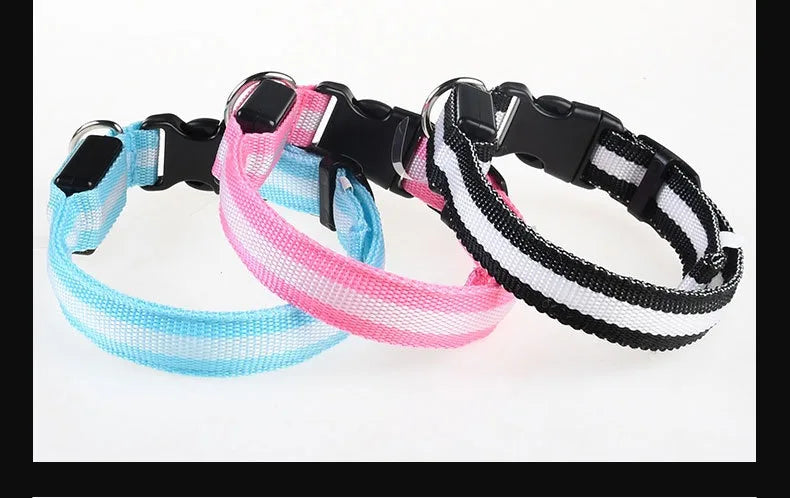 Dog Collar Nylon LED Light | Night Safety Flashing Glow In The Dark Pet Leash