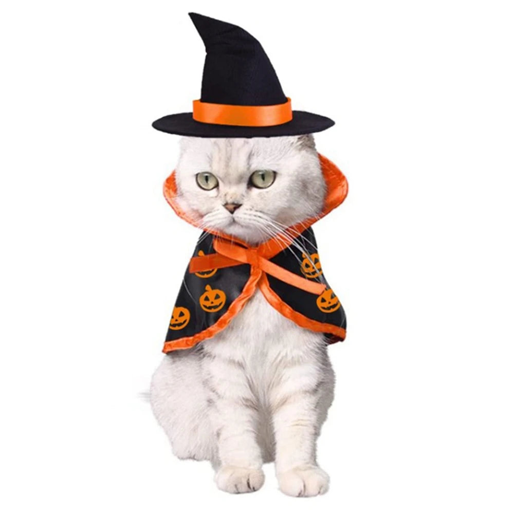 Halloween Cat Costume | Pet Cape and Witch Hat | Kitten Cloak Pumpkin Pattern