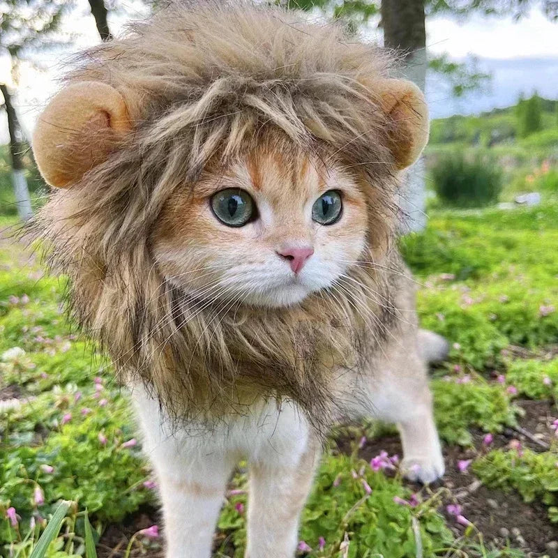 Cat Cosplay Dress Up | Pet Hat Lion Mane | Kitten Wig Costume