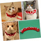 Scarf Christmas Pet Collar | Cat Decorative Scarf | Kitten Decorative Knit