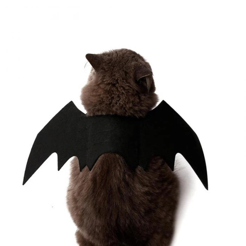 Cat Bat Wing Cosplay Prop | Kitten Halloween Costume | Pet Wings Outfit