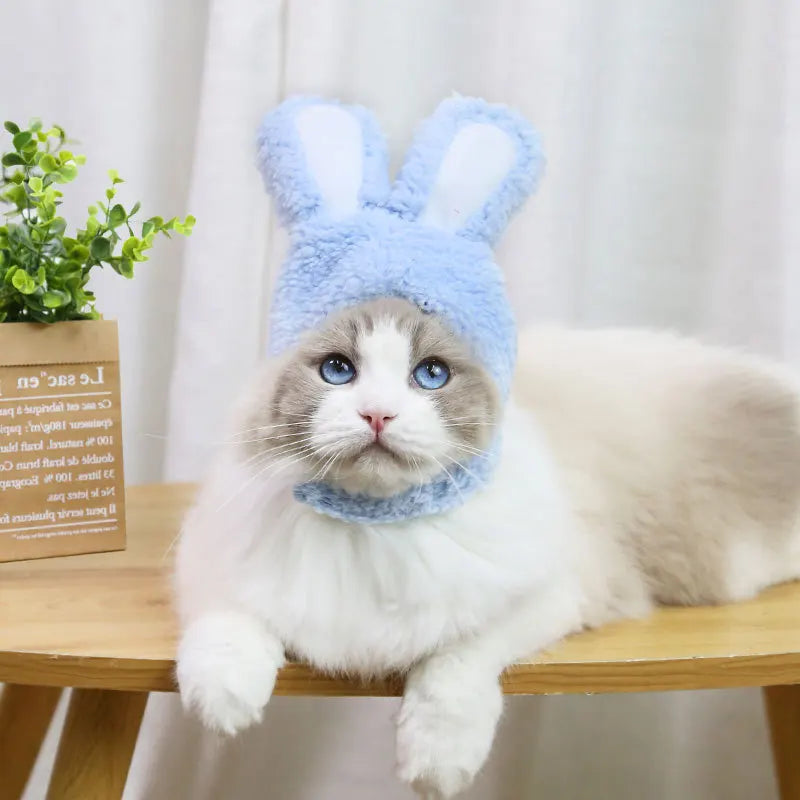 Cat Rabbit Ears Headgear | Pet Teddy Bear Cosplay | Kitten Costume