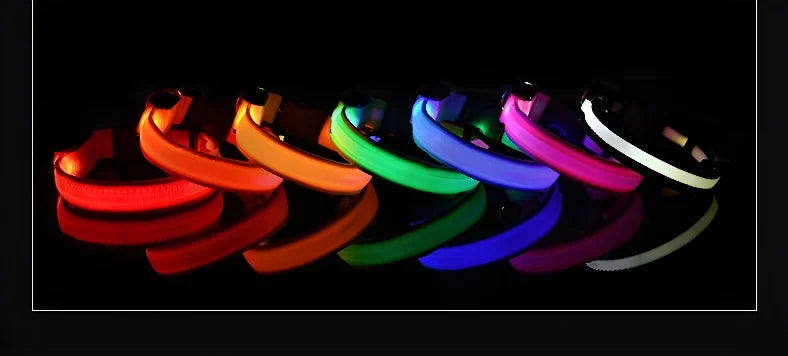 Dog Collar Nylon LED Light | Night Safety Flashing Glow In The Dark Pet Leash