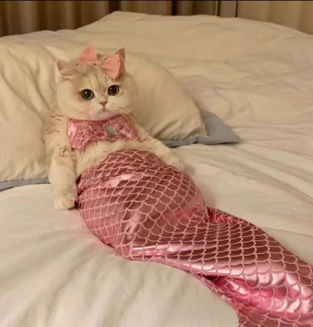 Cat Mermaid Costume | Pet Swimsuit Fish Tail Shape | Kitten Bikini Outfit