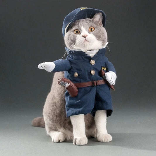 Funny Cat Clothes | Pet Costumes | Kitten Cosplay Clothing