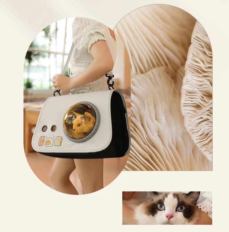 Portable Carrier Bag for Small Dogs Cats | Outdoor Foldable Breathable Pet Shoulder Bag