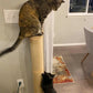 Cat Scratching Post | Wall Furniture Wood Wall Mounted Kitten Scratcher Tree