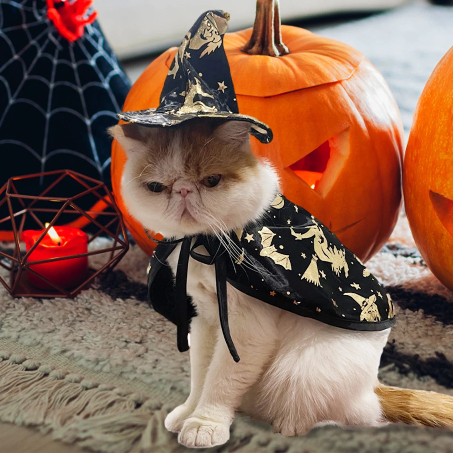 Cat Wizard Costume | Halloween Pet Cosplay | Kitten Cloak and Cape