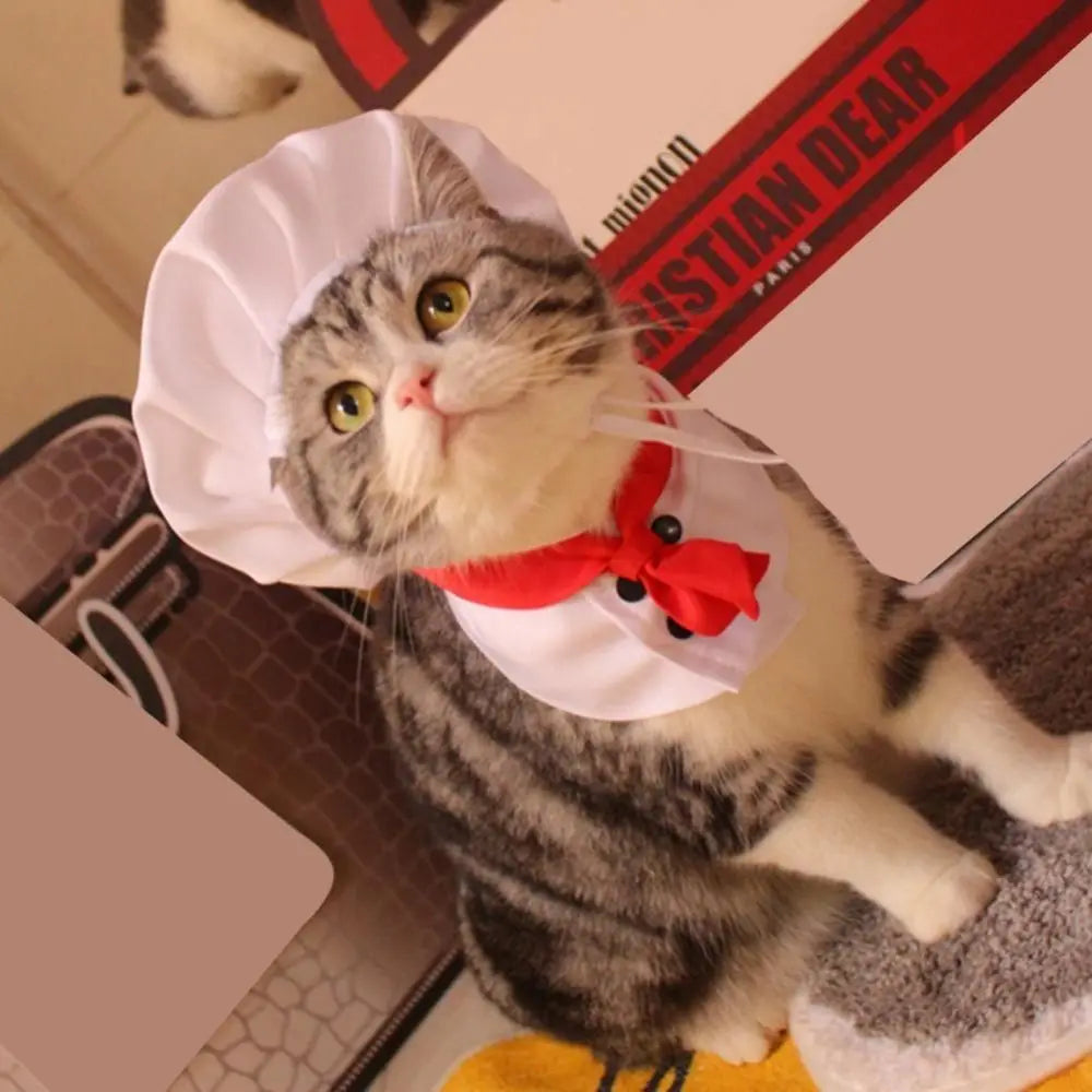 Cat Polyester Chef Hat | Pet Cook Apron Cosplay Props | Kitten Costume