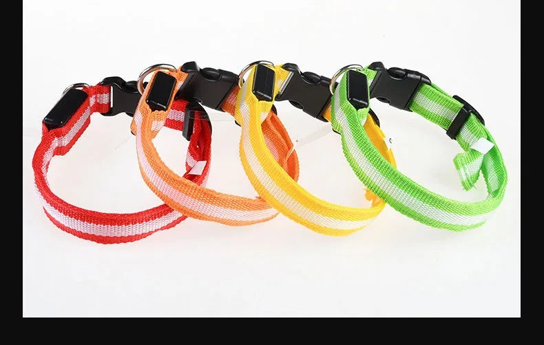 Dog Collar Nylon LED Light | Night Safety Flashing Glow In The Dark Pet Leash