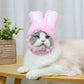 Cat Rabbit Ears Headgear | Pet Teddy Bear Cosplay | Kitten Costume