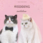 Pet Wedding Princess Costume | Cat Crown Wedding Veil | Kitten Bridal Sequin Lace Pearls