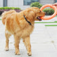 Orange Dog Toys | Pet Flying Disk Training | Puppy Ring Puller | Interactive Training Ring Puller