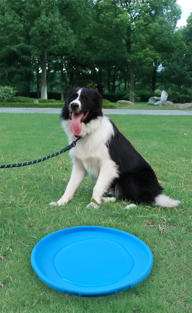 Flying Disc Dog Toy | Silicone Material Sturdy Bite-Resistant Puppy Toys | Bite Mark Repairable