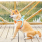 Pet Dog Harness | Outdoor Reflective Breathable Dog Traction Rope | Walking Harness